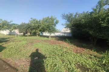 Фото №4: Земельный участок 4 сот. - Кубанская Нива, мкр. Прикубанский внутригородской округ, ул. Солнечная, 962