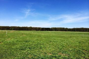 Фото №2: Земельный участок 11.92 сот. - Октябрьский, мкр. Прикубанский внутригородской округ, ул. Насосная, 11