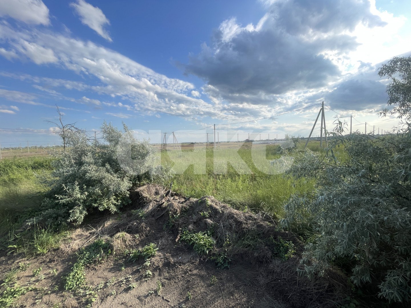 Фото №11: Земельный участок под ИЖС 5.23 сот. - Голубицкая, ул. Абрикосовая