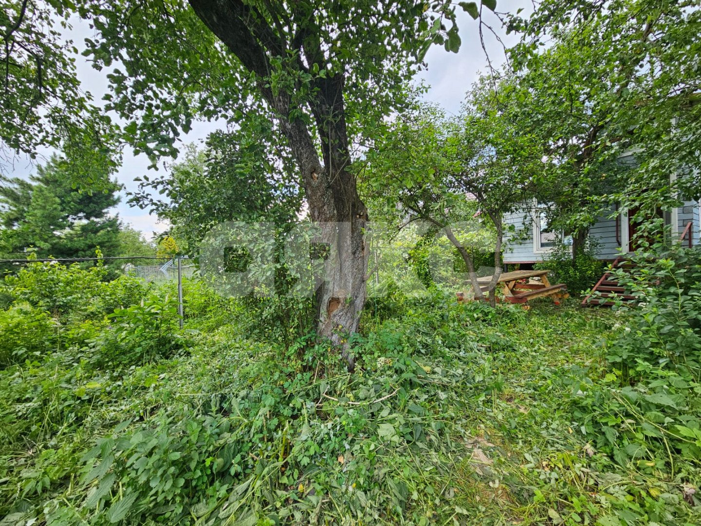 Фото №6: Участок садоводство 3 сот. - Жуковский, СНТ Мичуринец, 136