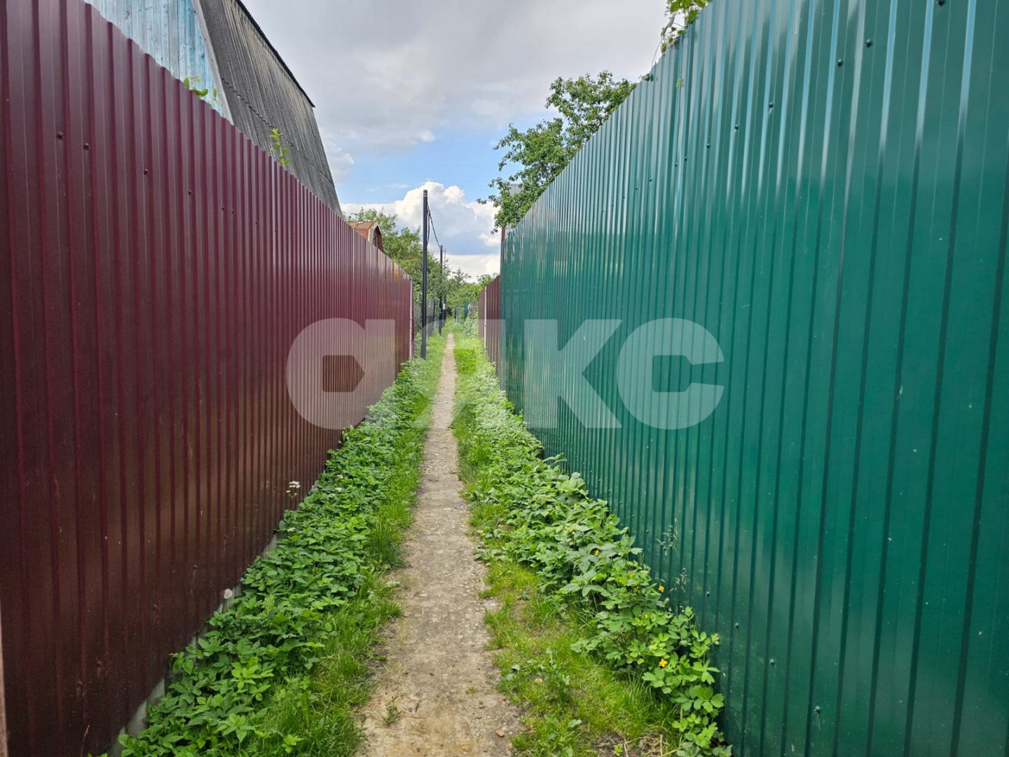 Фото №8: Участок садоводство 3 сот. - Жуковский, СНТ Мичуринец, 136