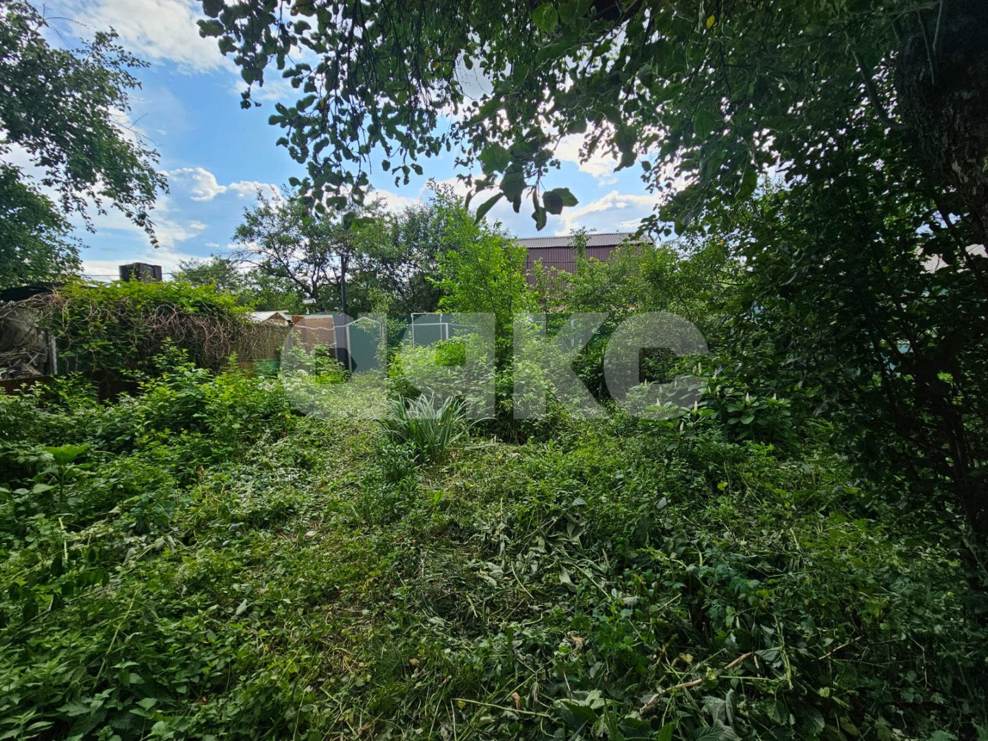 Фото №7: Участок садоводство 3 сот. - Жуковский, СНТ Мичуринец, 136