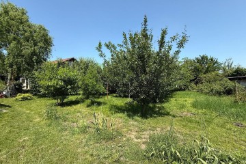 Фото №3: Участок садоводство 6.45 сот. - Елизаветинская, ст Росинка, ул. Ореховая, 88