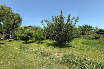 Фото №3: Земельный участок 6.45 сот. - Елизаветинская, ст Росинка, ул. Ореховая, 88