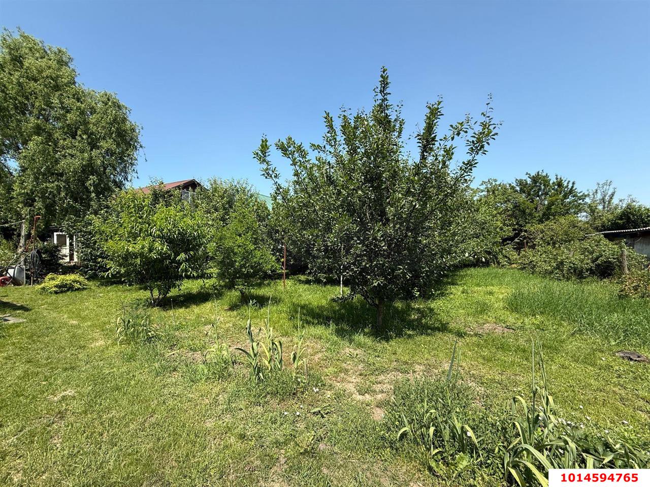 Фото №3: Земельный участок 6.45 сот. - Елизаветинская, Прикубанский внутригородской округ, ст Росинка, ул. Ореховая, 88