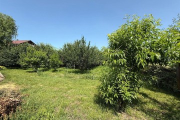 Фото №2: Участок садоводство 6.45 сот. - Елизаветинская, ст Росинка, ул. Ореховая, 88