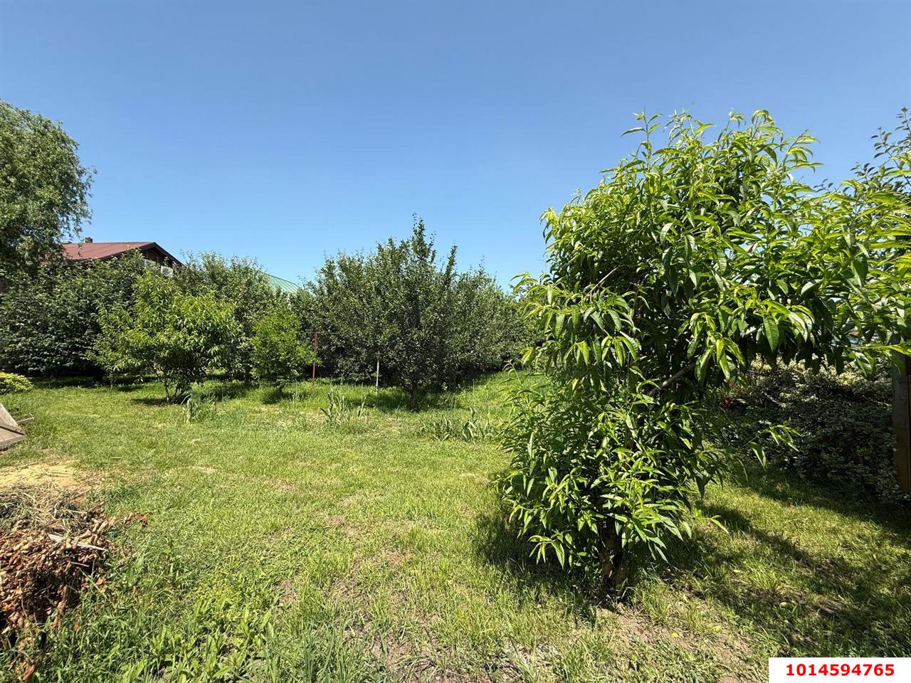 Фото №2: Участок садоводство 6.45 сот. - Елизаветинская, Росинка, ул. Ореховая, 88