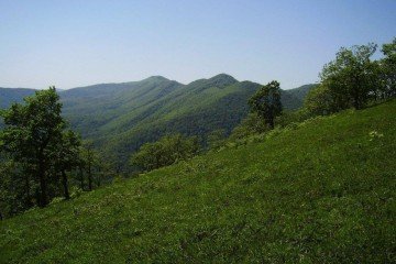 Фото №2: Коммерческая земля 10 сот. - Горячий Ключ, мкр. Администрация, ул. Новонабережная, 1В
