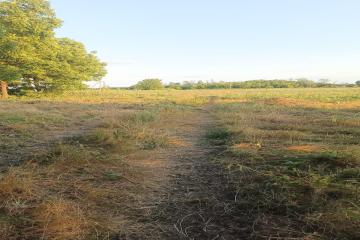 Фото №2: Земельный участок 6.81 сот. - Осечки, 31В