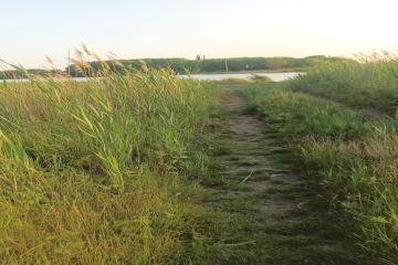 Фото №3: Земельный участок 6.81 сот. - Осечки, 31В