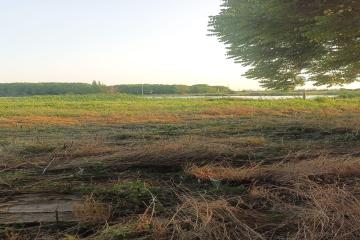 Фото №1: Земельный участок 6.81 сот. - Осечки, 31В