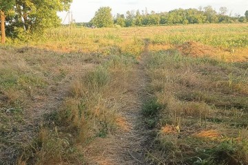 Фото №2: Земельный участок под ИЖС 6.81 сот. - Осечки, 31В