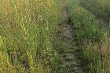 Фото №3: Земельный участок под ИЖС 6.81 сот. - Осечки, 31В