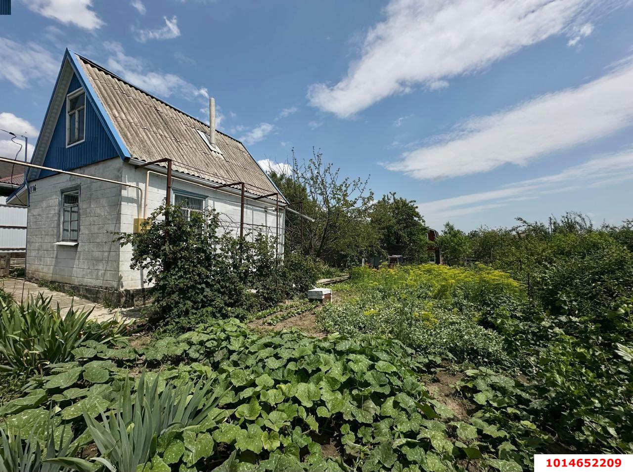 Фото №5: Дом 30 м² + 4 сот. - Знаменский, Карасунский внутригородской округ, мкр. СНТ Автомобилист-2, ул. Малиновая, 263