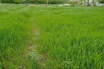 Фото №3: Коммерция 14 м² - Гостагаевская, ул. Советская, 1