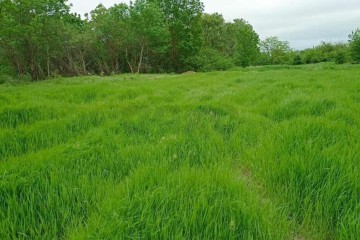 Фото №2: Коммерческая земля 15 сот. - Гостагаевская, ул. Советская, 1