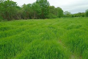 Фото №2: Коммерция 14 м² - Гостагаевская, ул. Советская, 1