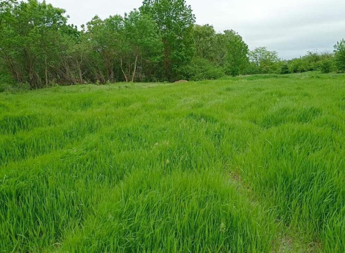 Фото №2: Коммерция 14 м² - Гостагаевская, ул. Советская, 1