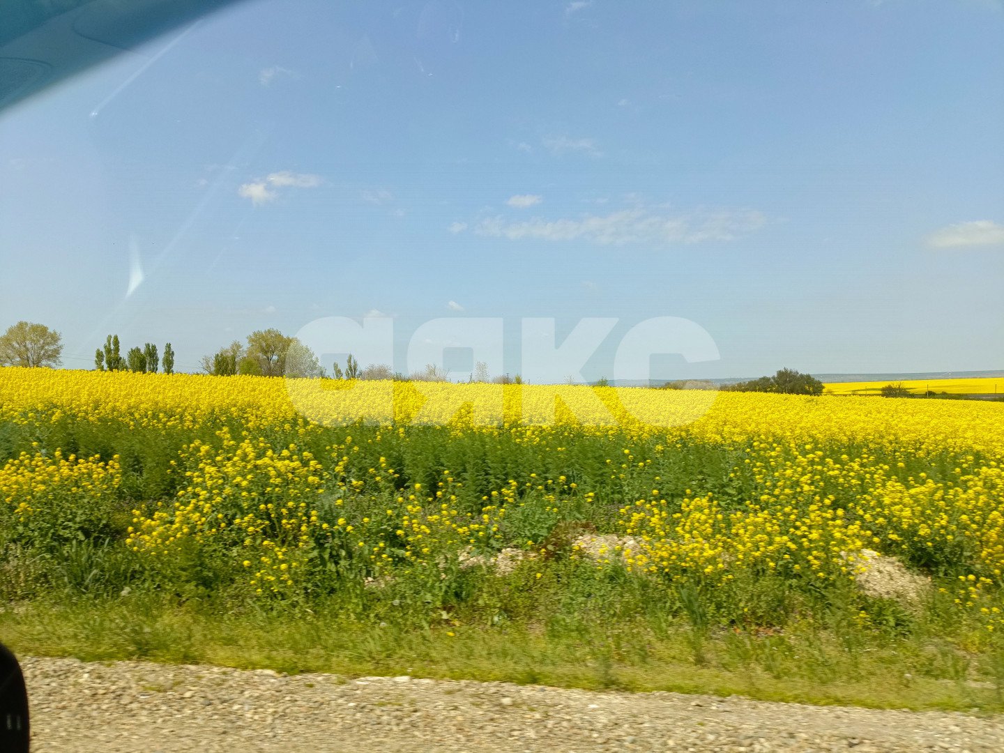 Фото №27: Дом 200 м² + 43 сот. - Краснодарский край муниципальный округ Анапа
