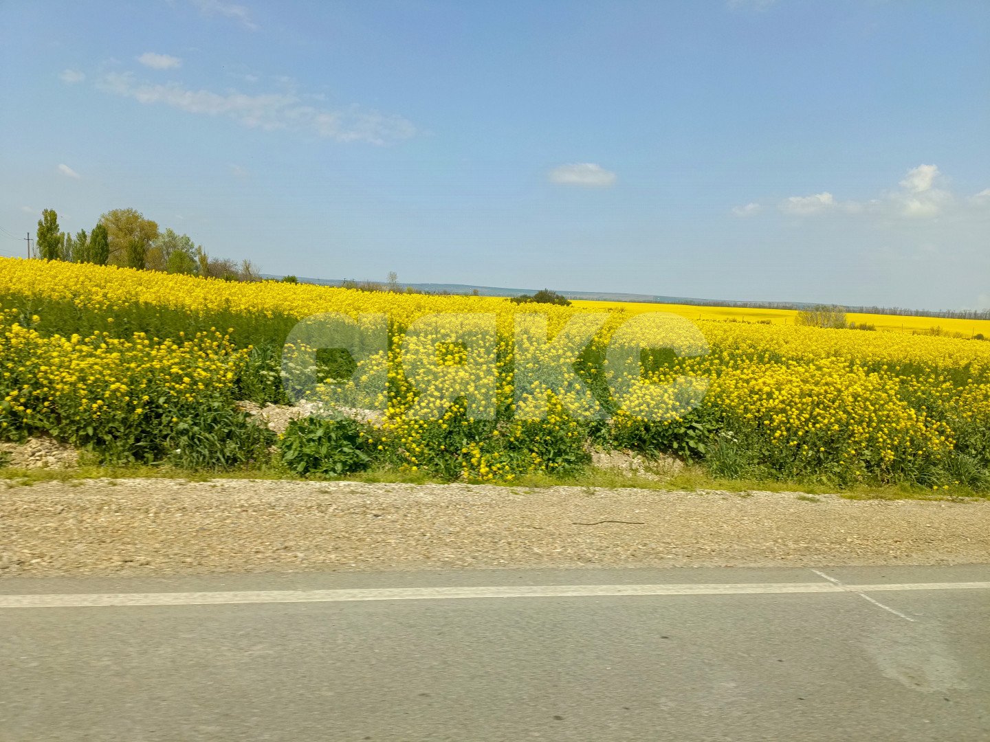 Фото №28: Дом 200 м² + 43 сот. - Краснодарский край муниципальный округ Анапа