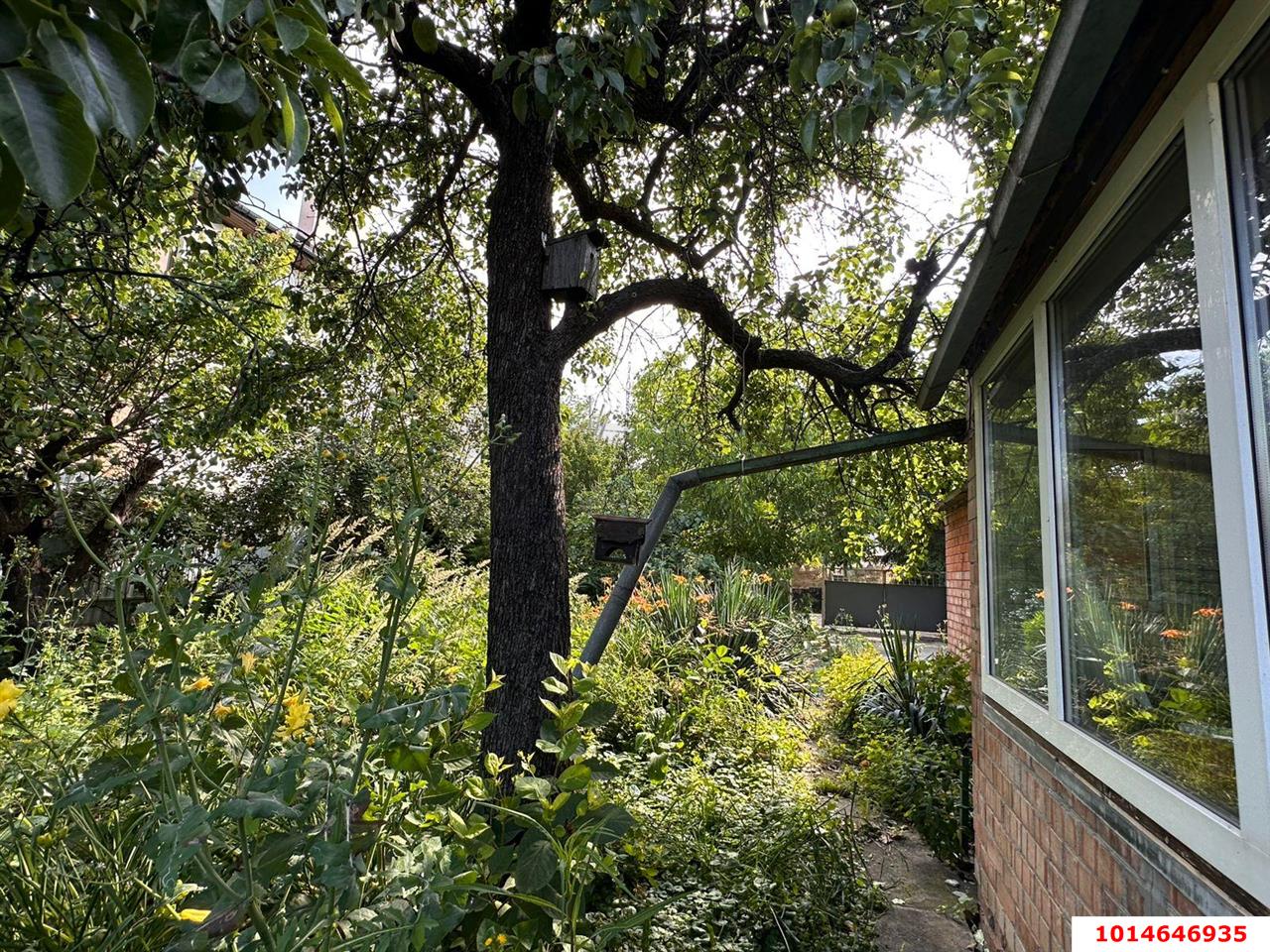 Фото №3: Личное подсобное хозяйство - ДНТ Водхозовец, ул. Привальная