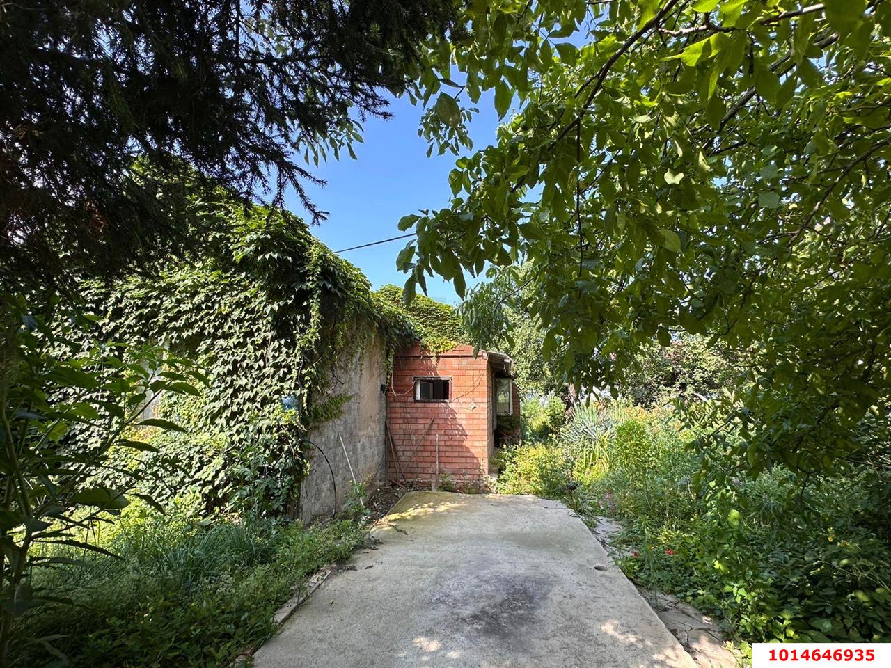 Фото №5: Личное подсобное хозяйство - ДНТ Водхозовец, ул. Привальная