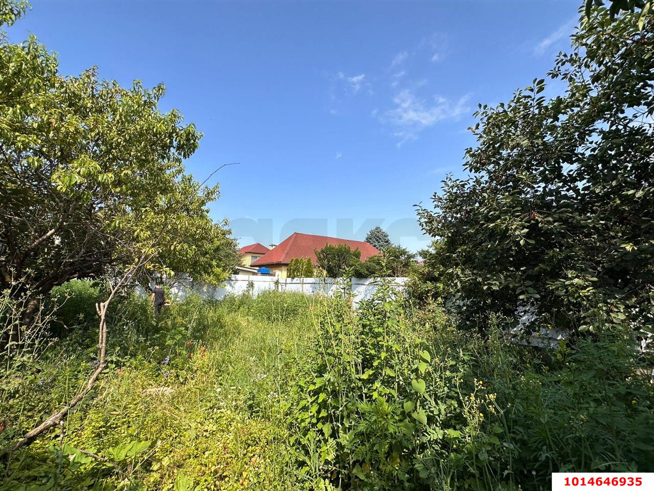 Фото №1: Личное подсобное хозяйство - ДНТ Водхозовец, ул. Привальная