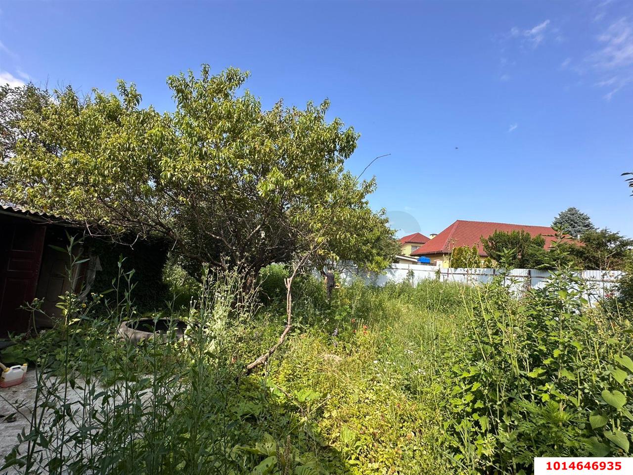 Фото №4: Личное подсобное хозяйство - ДНТ Водхозовец, ул. Привальная