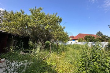 Фото №4: Участок садоводство 6.46 сот. - ДНТ Водхозовец, ул. Привальная