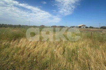 Фото №4: Личное подсобное хозяйство - Гавердовский, пер. Клубный, 1В