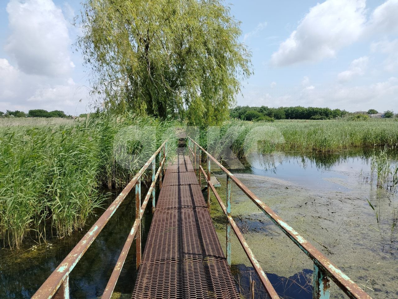 Фото №11: Личное подсобное хозяйство 42.08 сот. - Журавский, ул. Северная, 87