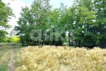 Фото №5: Личное подсобное хозяйство - Журавский, ул. Северная, 87