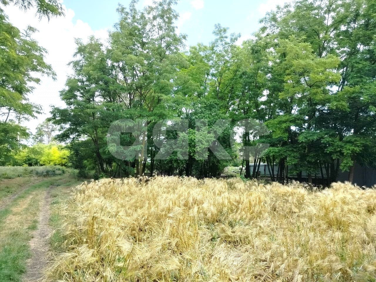 Фото №5: Личное подсобное хозяйство 42.08 сот. - Журавский, ул. Северная, 87