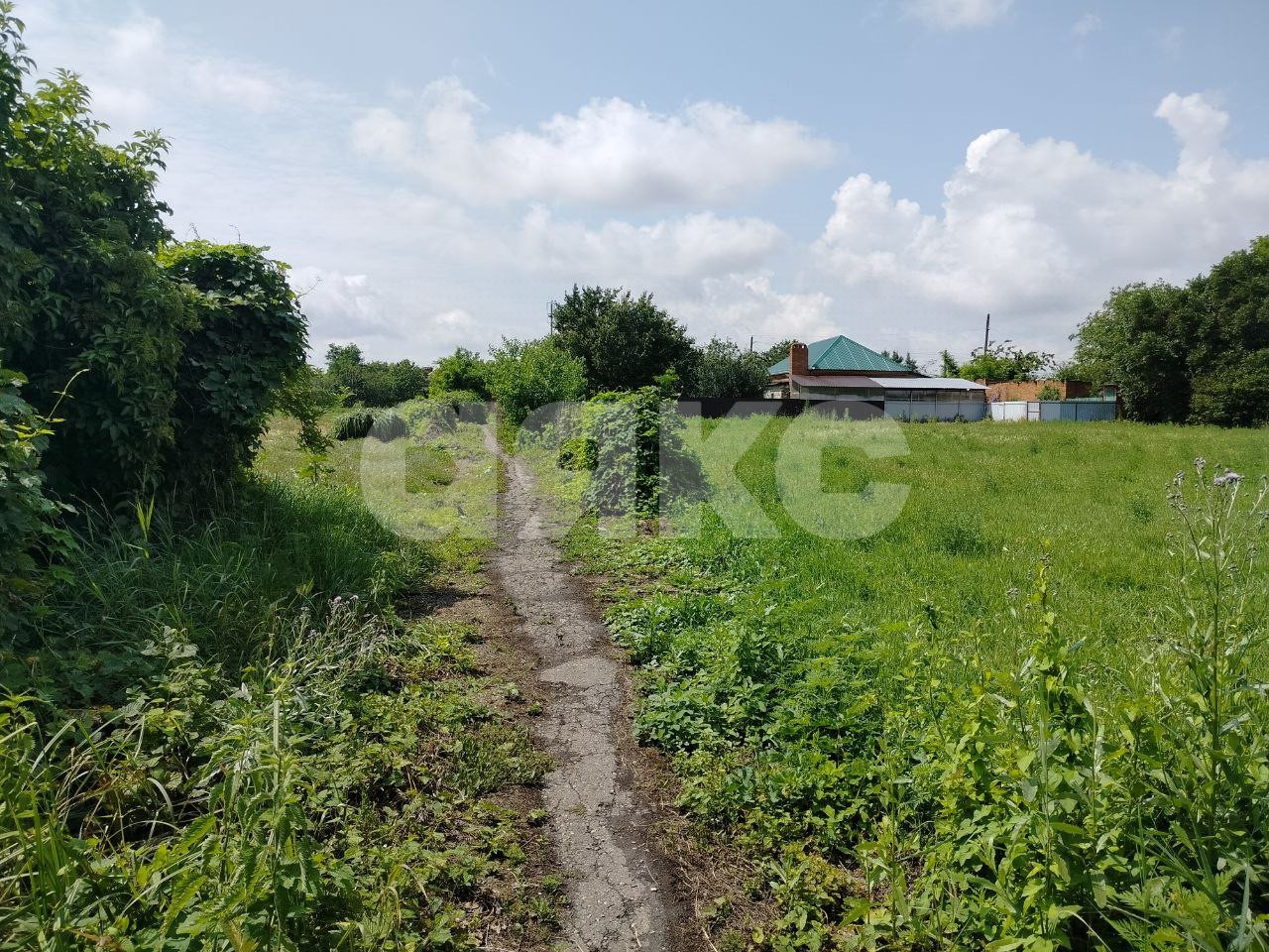 Фото №12: Личное подсобное хозяйство 42.08 сот. - Журавский, ул. Северная, 87