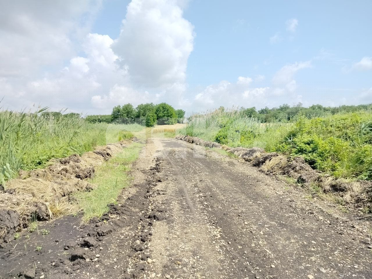 Фото №10: Личное подсобное хозяйство 42.08 сот. - Журавский, ул. Северная, 87