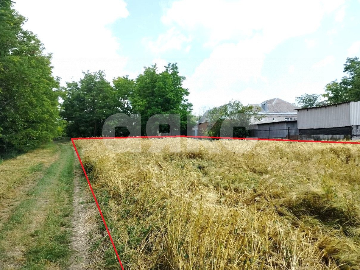 Фото №7: Личное подсобное хозяйство 42.08 сот. - Журавский, ул. Северная, 87