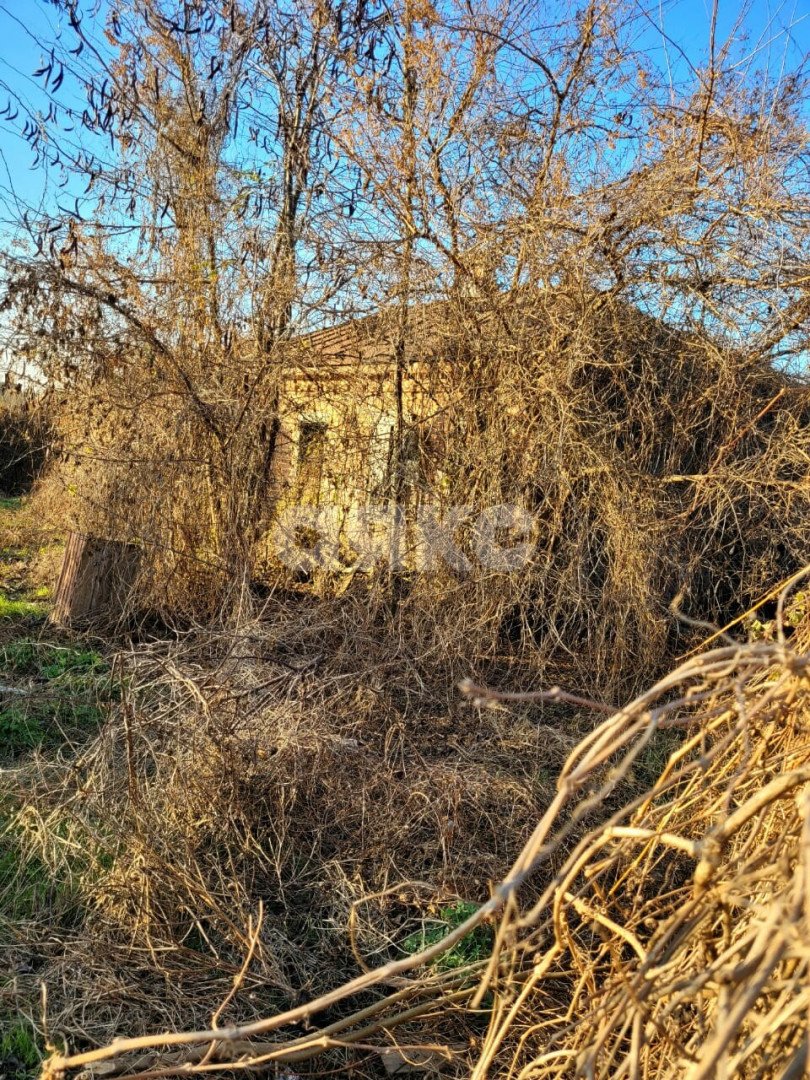 Фото №7: Земельный участок под ИЖС 35 сот. - Платнировская, ул. Красная, 47