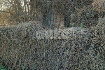 Фото №3: Земельный участок под ИЖС - Платнировская, ул. Красная, 47