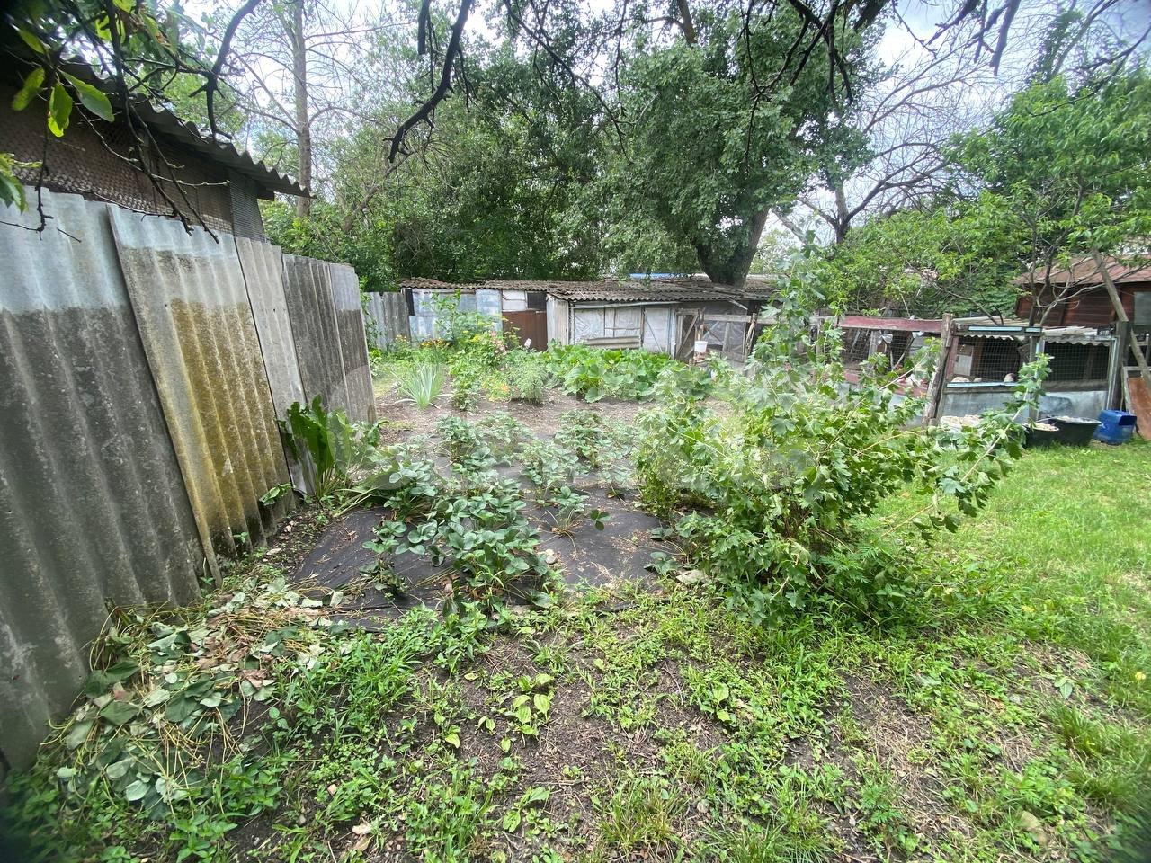 Фото №14: 2-комнатная квартира 45 м² - Новоберезанский, ул. Школьная, 11