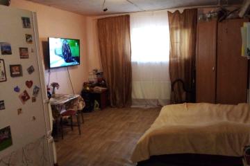 Фото №1: Студия 24 м² - Российский, мкр. жилой комплекс Елисеевский, ул. Парижская, 5/3