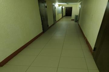 Фото №4: Студия 24 м² - Российский, мкр. жилой комплекс Елисеевский, ул. Парижская, 5/3