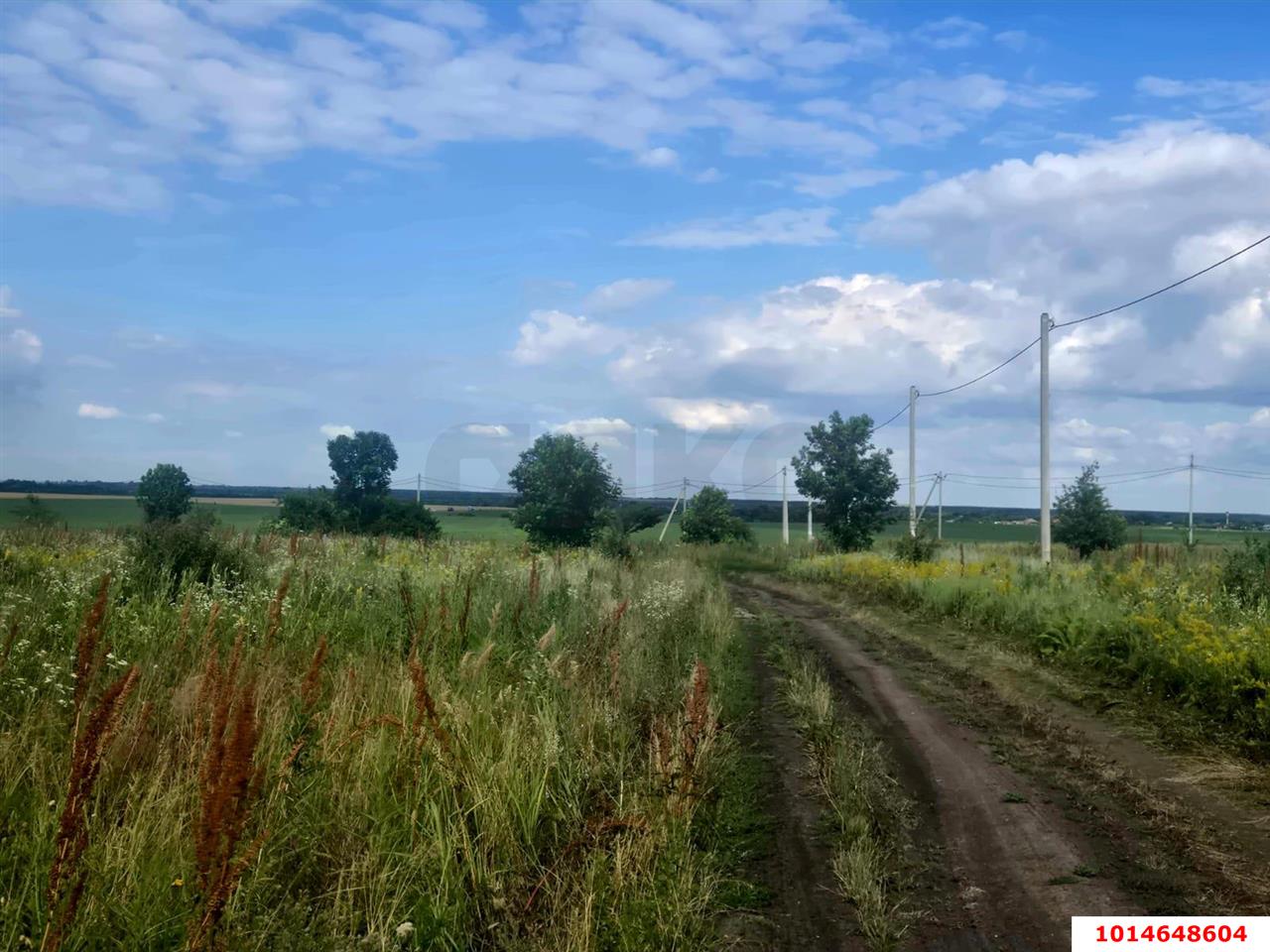 Фото №4: Земельный участок 10 сот. - Заря, ул. Малиновая, 20