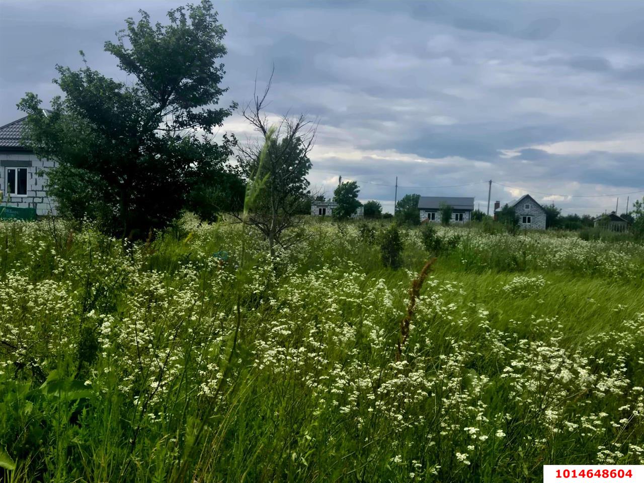 Фото №5: Земельный участок 10 сот. - Заря, ул. Малиновая, 20