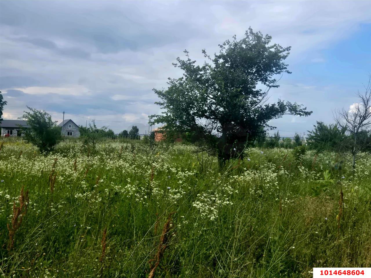 Фото №3: Земельный участок 10 сот. - Заря, ул. Малиновая, 20