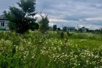 Фото №5: Участок садоводство 10 сот. - Заря, ул. Малиновая, 20