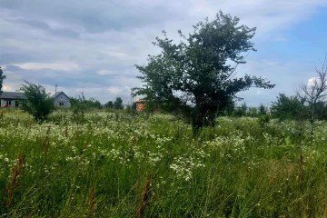 Фото №3: Участок садоводство 10 сот. - Заря, ул. Малиновая, 20