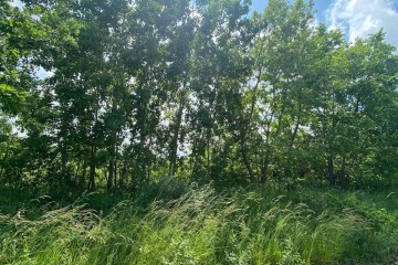 Фото №3: Коммерческая земля 11 сот. - садово- Адыгея, 1041