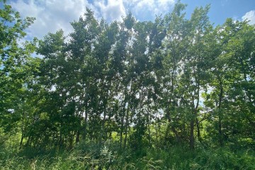 Фото №2: Коммерческая земля 11 сот. - садово- Адыгея, 1041