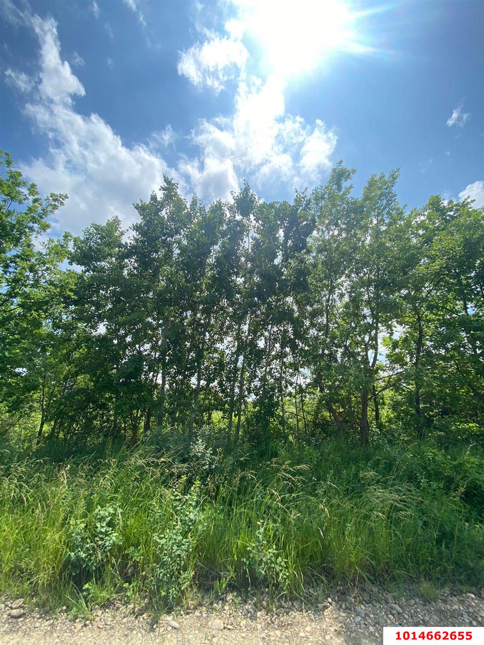 Фото №2: Коммерческая земля 11 сот. - садово- Адыгея, 1041