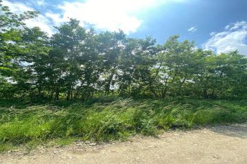 Фото №3: Коммерция 10 м² - садово- Адыгея, 1041